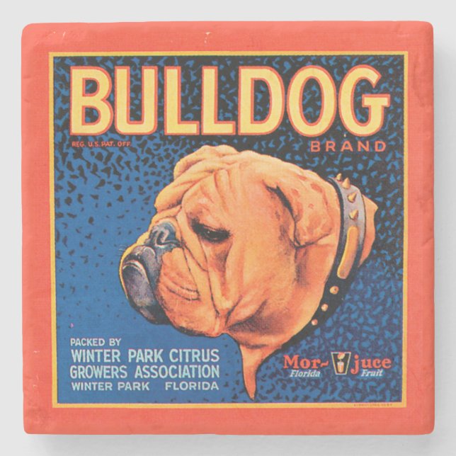 Bull Dog auf blauem Hintergrund Steinuntersetzer (Vorderseite)