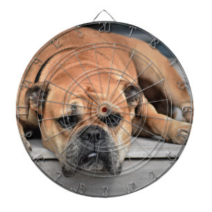 Bull Dog Dartscheibe