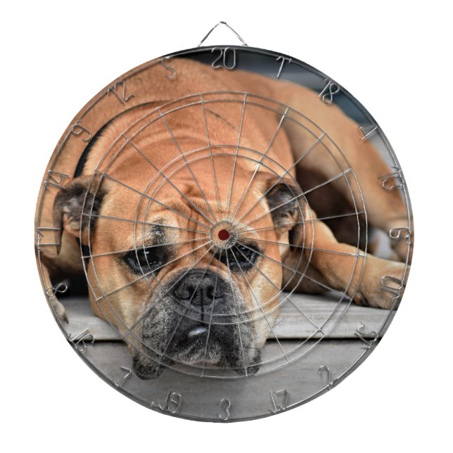 Bull Dog Dartscheibe (vorne)