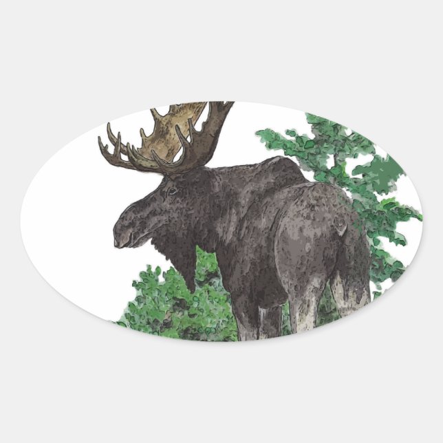 Bull Elch Art Ovaler Aufkleber (Vorderseite)