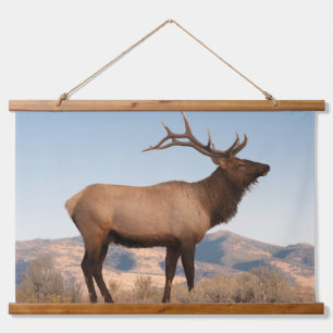 Bull-Elch in der Nähe von Mammoth Wyoming Wandteppich Mit Holzrahmen