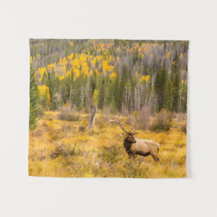 Bull-Elch Rocky Mountain National Park Colorado Wandteppich