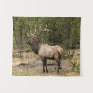 Bull-Elch Yellowstone National Park, Wyoming Wandteppich