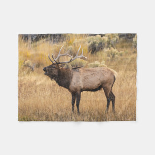 Bull-Elch Yellowstone-Nationalpark Fleecedecke