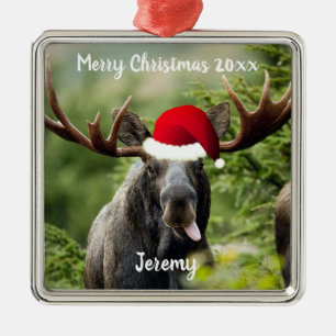 Bull Elche in Weihnachtsmannmütze Ornament Aus Metall
