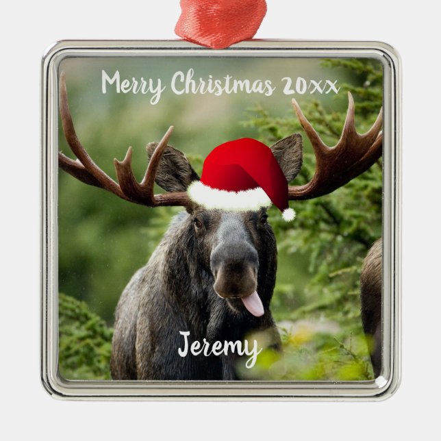 Bull Elche in Weihnachtsmannmütze Ornament Aus Metall (Vorne)