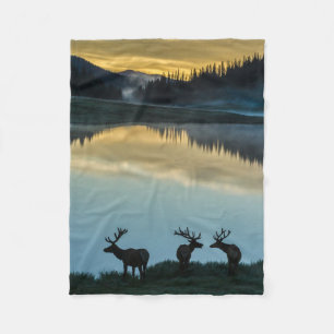 Bull Elche Silhouettiert Poudre Lake Sonnenaufgang Fleecedecke
