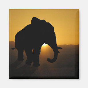 Bull Elefant Magnet