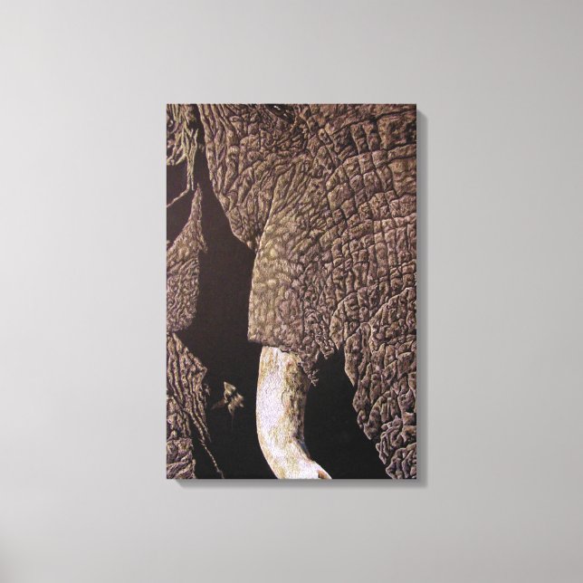 Bull Elephant Leinwanddruck (Vorderseite)