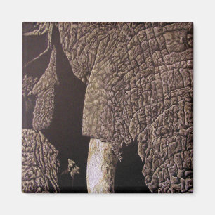 Bull Elephant Magnet