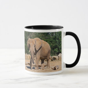 Bull Elephant-Tasse Tasse