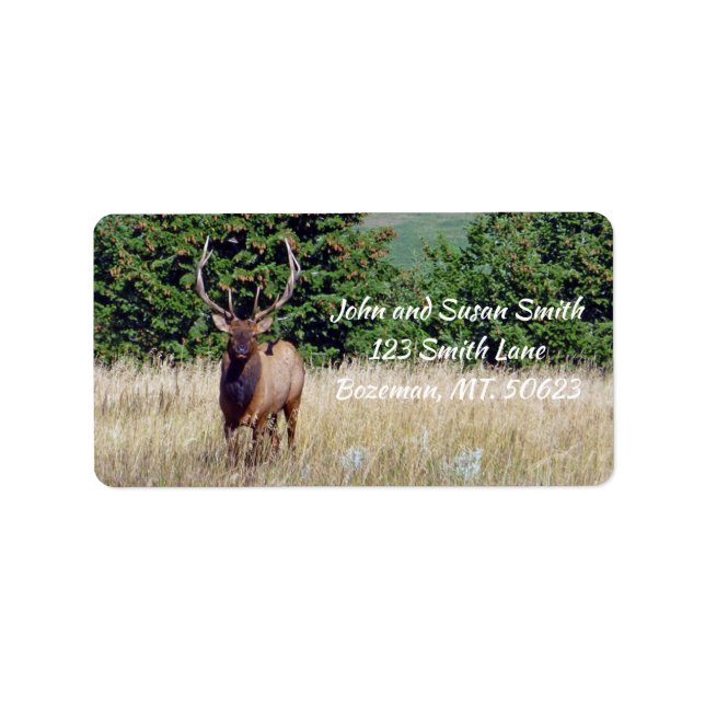 Bull Elk Address Label Adressaufkleber (Vorne)