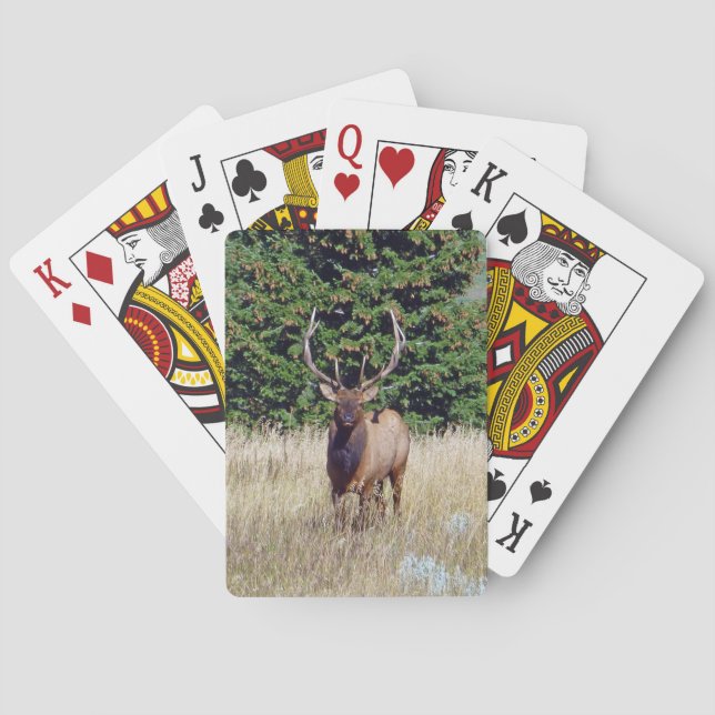 Bull Elk Bicycle Playing Cards Spielkarten (Rückseite)