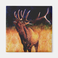 Bull Elk Call Of The Wild, Magnet
