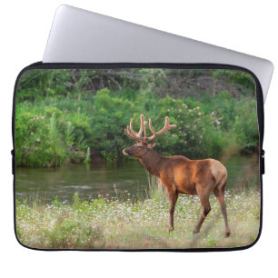 Bull Elk in der National Bison Range, Montana Laptopschutzhülle