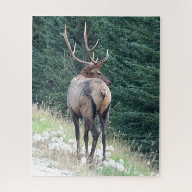 Bull Elk Jigsaw Puzzle (Vertikal)