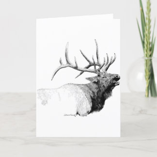 Bull Elk Karte