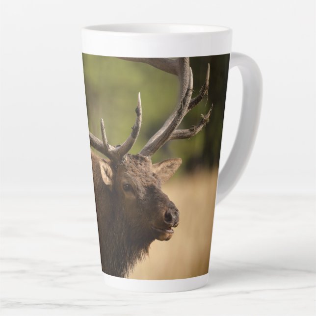 Bull Elk Latte Mug (Angle droit)