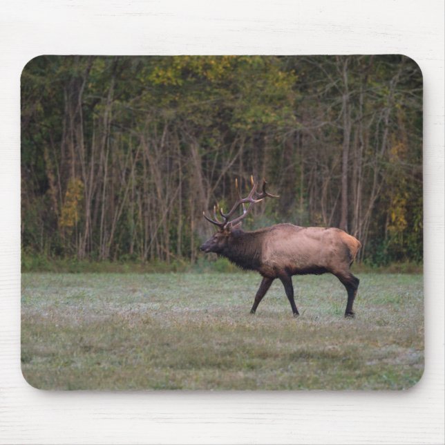 Bull Elk Morning Walk Mousepad (Vorne)