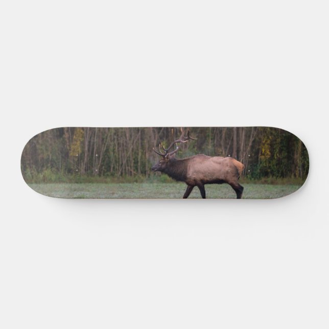 Bull Elk Morning Walk Skateboard (Horizontal)