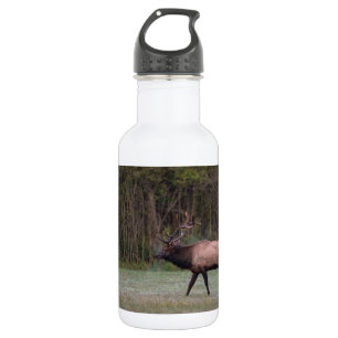 Bull Elk Morning Walk Stainless Steel Water Flasch Edelstahlflasche