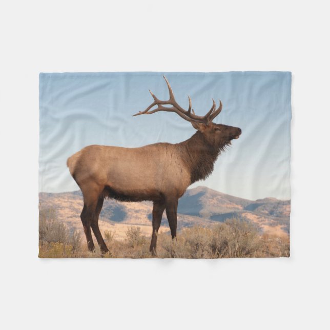 Bull Elk Near Mammoth | Wyoming Fleecedecke (Vorderseite (Horizontal))