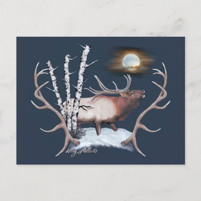 Bull Elk Postkarte (Vorderseite)
