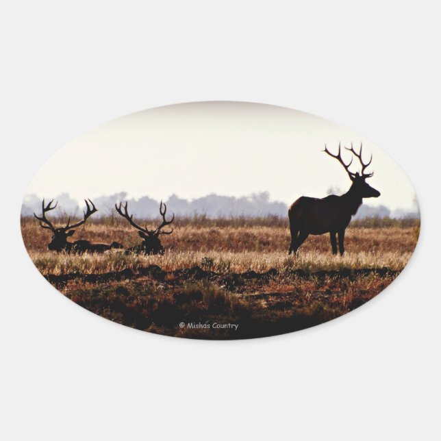 Bull Elk Silhouette Ovaler Aufkleber (Vorderseite)
