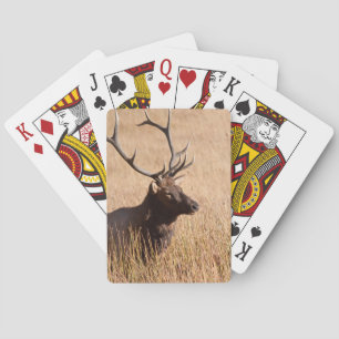 Bull Elk Spielkarten