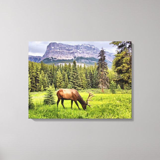 Bull Elk Wrapped Canvas Leinwanddruck (Vorderseite)