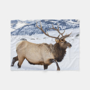 Bull Elk   Wyoming Fleecedecke