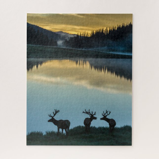 Bull Elks Silhouette Poudre Lake Sunrise (Vertikal)