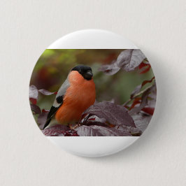 Bull Finch Button