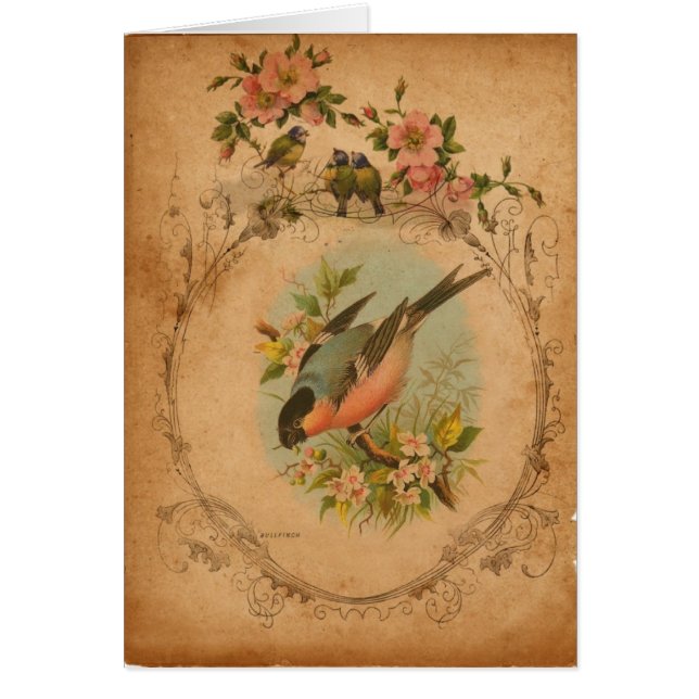 Bull Finch Digital Art Jedes Anlasses Grußkarte (Vorne)