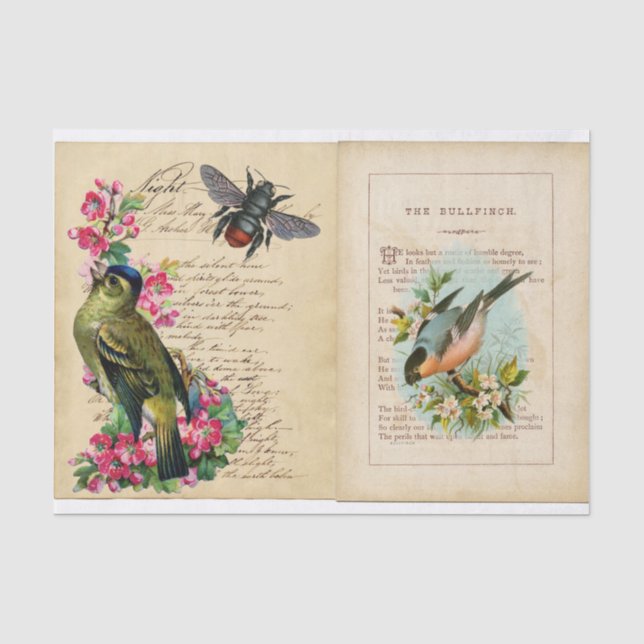 Bull Finch Ephemera Buchseiten mit Bienen und Vöge Seidenpapier (Vorderseite)