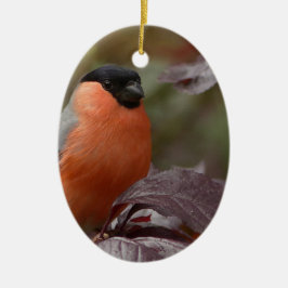 Bull Finch Keramikornament
