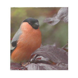 Bull Finch Notizblock