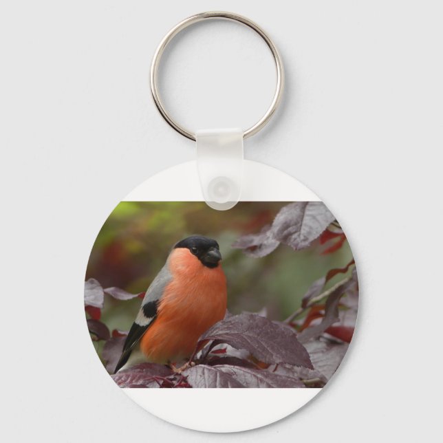 Bull Finch Schlüsselanhänger (Vorderseite)