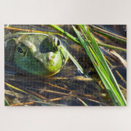Bull Frog