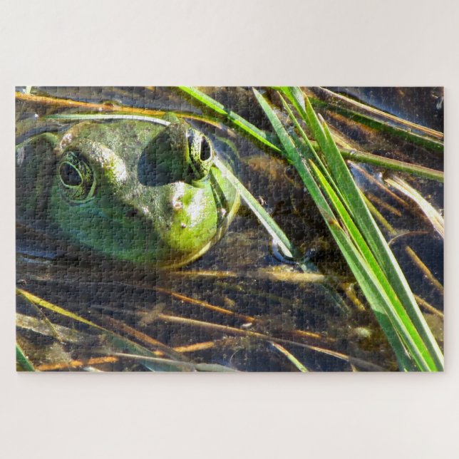 Bull Frog (Horizontal)