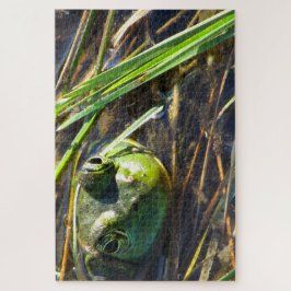 Bull Frog