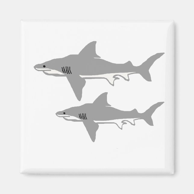 Bull-Hai-Magnet Magnet (Vorne)
