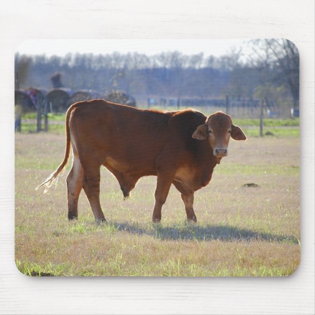 Bull in seinem Feldmousepad Mousepad (Vorne)