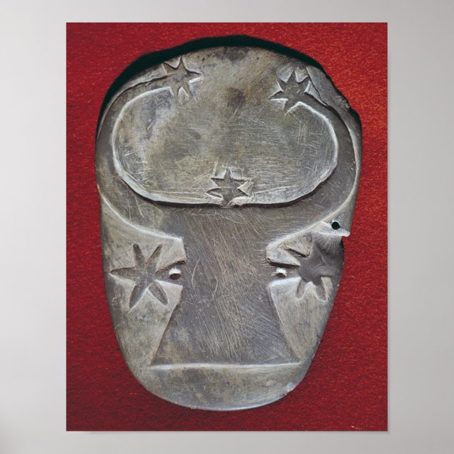 Bull-Kopfpalette Poster (Vorne)