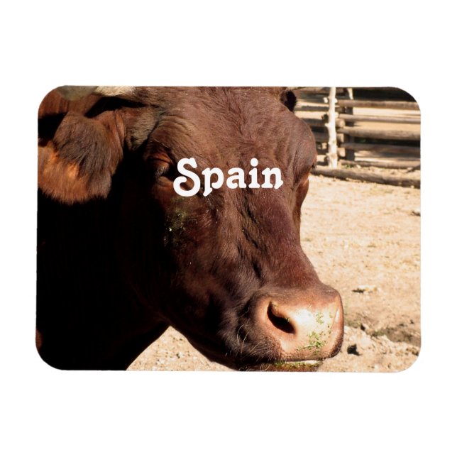 Bull Magnet (Horizontal)