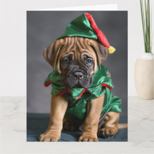 Bull Mastiff Elf Puppy Christmas Card Karte