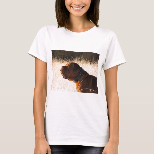 Bull-Mastiff T-Shirt (Vorderseite)