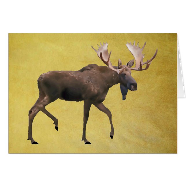 Bull Moose (Vorderseite (Horizontal))