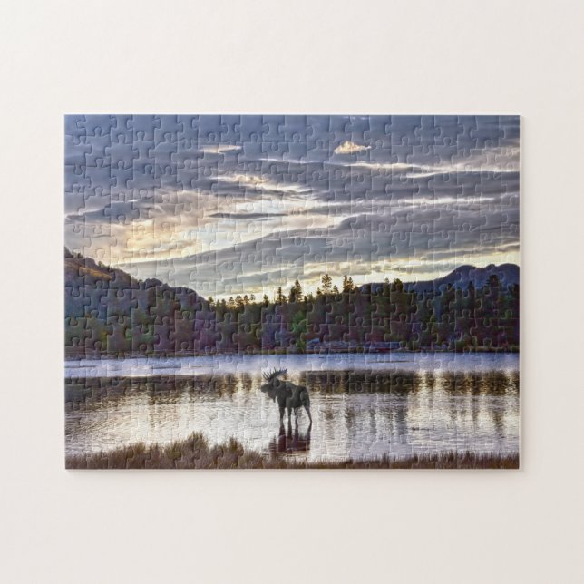 Bull Moose am Sprague Lake, Colorado, bei Morgendä (Horizontal)