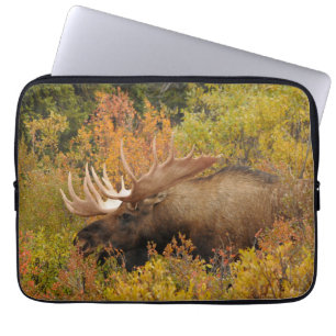 Bull Moose Denali-Nationalpark, Alaska Laptopschutzhülle